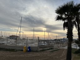 241-14-01-2026 IMG_3437